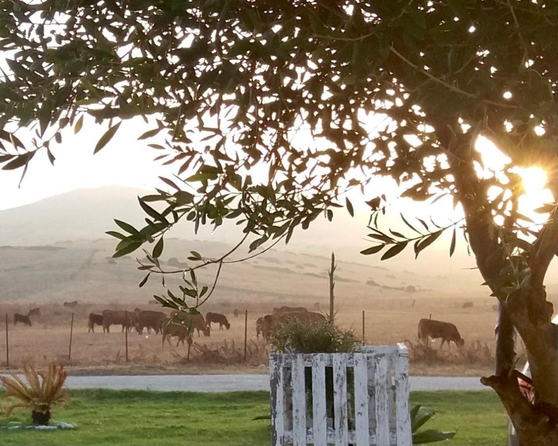 El Cortijillo De Tarifa Lägenhet Exteriör bild